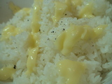 yofugyudon3