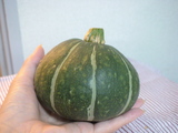 bochanpumpkin1