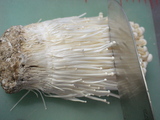 kinokokaka1