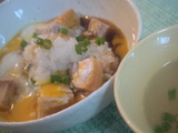 cooloyakodon