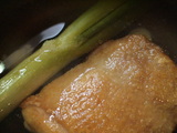 cooloyakodon3