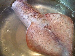 レシピ イカの煮物