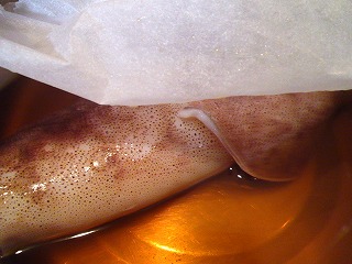 レシピ イカの煮物