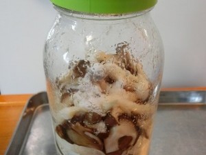 きょうの料理の塩きのこ