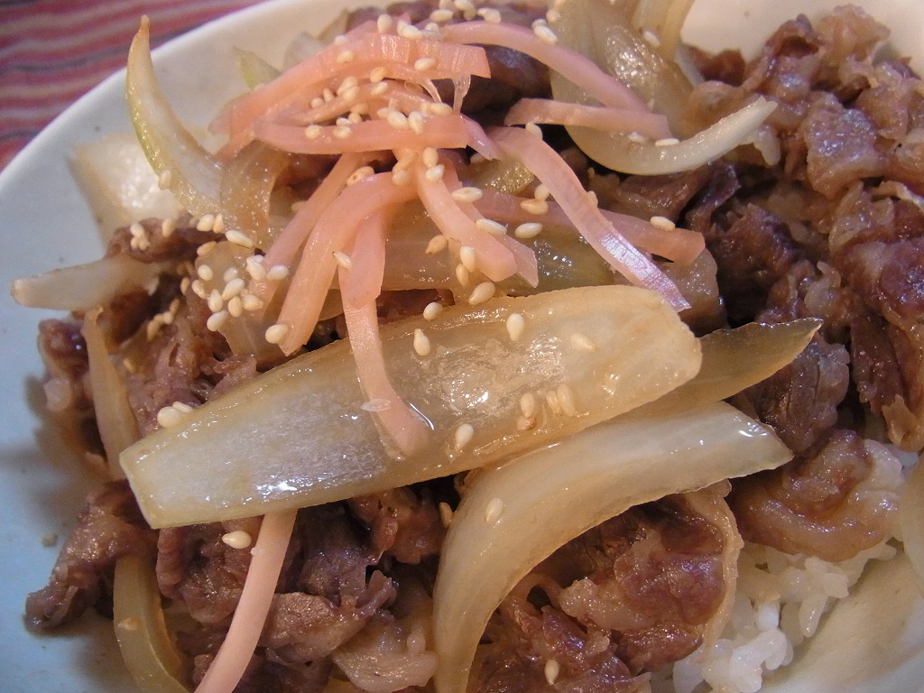 gyudon-matida.jpg