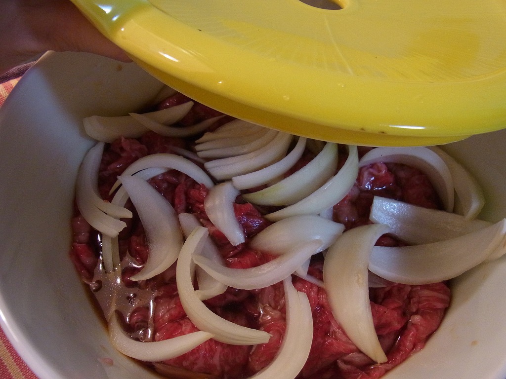 gyudon-matida2.jpg