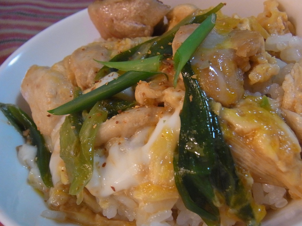 oyakodon-dansi.jpg