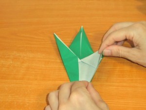 バッタ