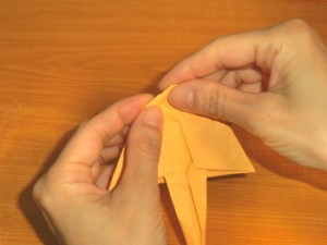おたまじゃくし