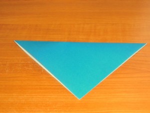 アシカ
