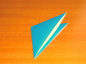 アシカ