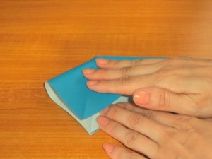 アシカ