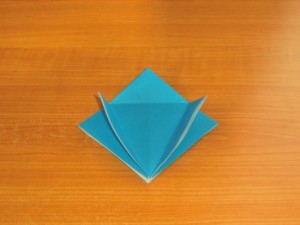 アシカ