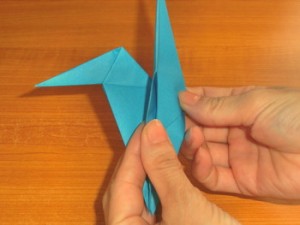アシカ