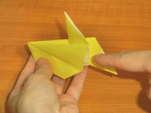 風船金魚(ふうせんきんぎょ)