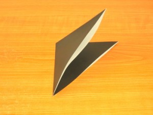 カラス