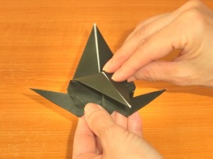 カラス