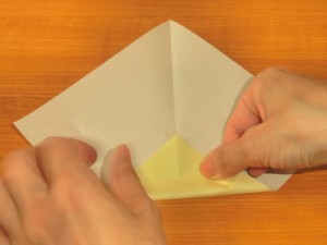おながどり