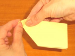 おながどり