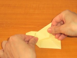 おながどり