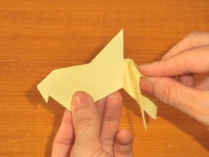 おながどり