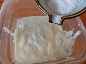 男子ごはんのヨーグルト漬け物