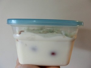 男子ごはんのヨーグルト漬け物