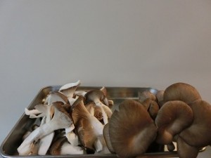 ノンストップ！のヒラタケご飯