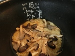 ノンストップ！のヒラタケご飯