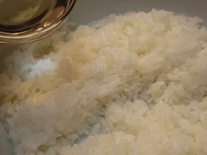 ノンストップ！のカリフォルニア風ロコモコ