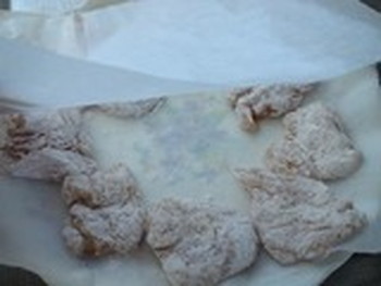 torinikuamazu-yamie1