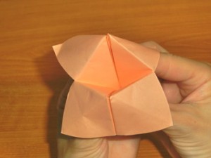 パクパク