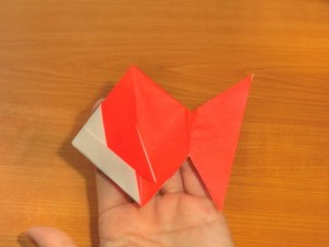 金魚(きんぎょ)