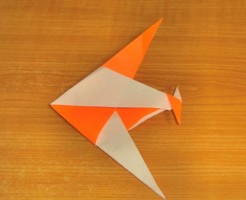 エンゼルフィッシュ