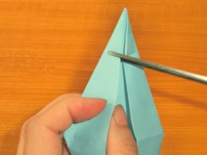 いか