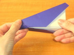 飛行機（ひこうき）