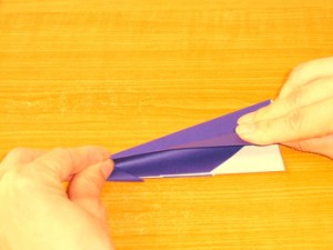 飛行機（ひこうき）